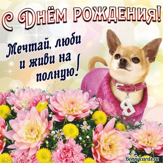 Милая открытка на день рождения с щенком