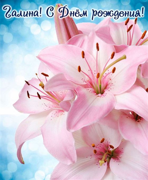 Милая открытка с большой лилией в День рождения Галины