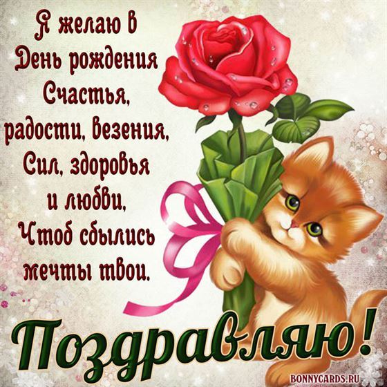 Трогательная открытка с котёнком и розой