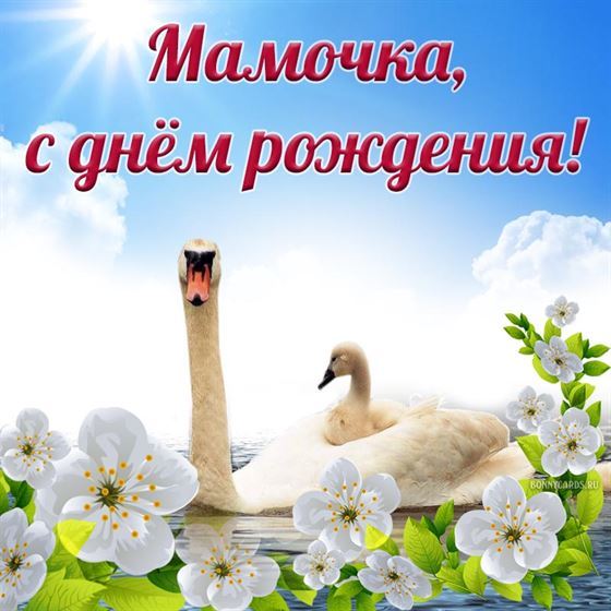 Красивая открытка с лебедями на день рождения