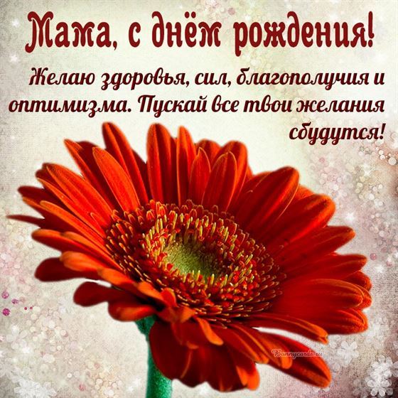 Желаю здоровья, сил, открытка с цветком