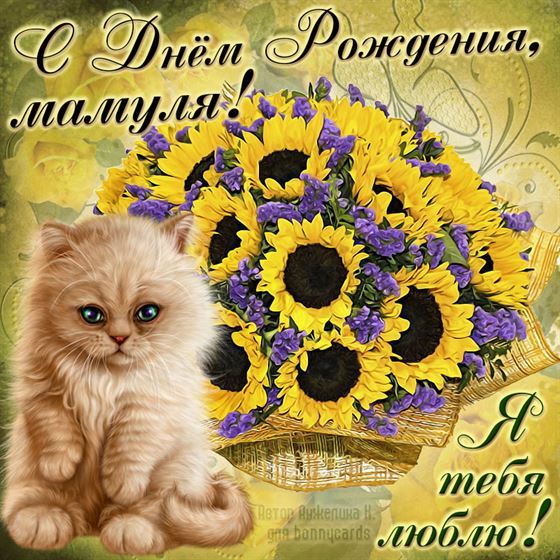 Милая картинка котёнка с подсолнухами