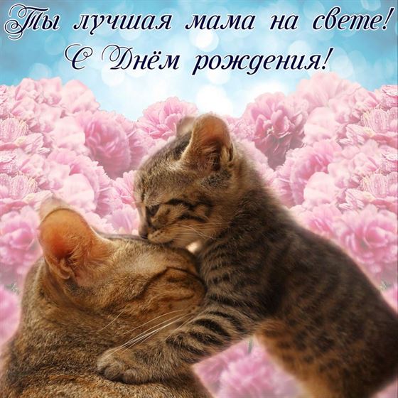 Красивая картинка с котятами, маме на день рождения
