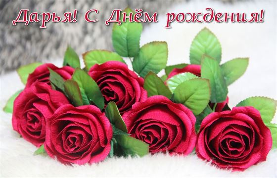 Розы на снегу Даше на День рождения