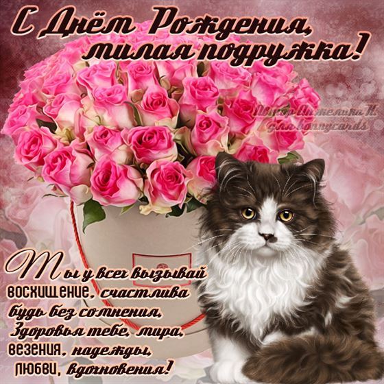 Поздравление подруге с котиком