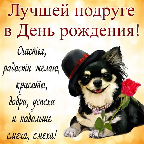 Милая открытка подруге на День рождения с веселой собакой