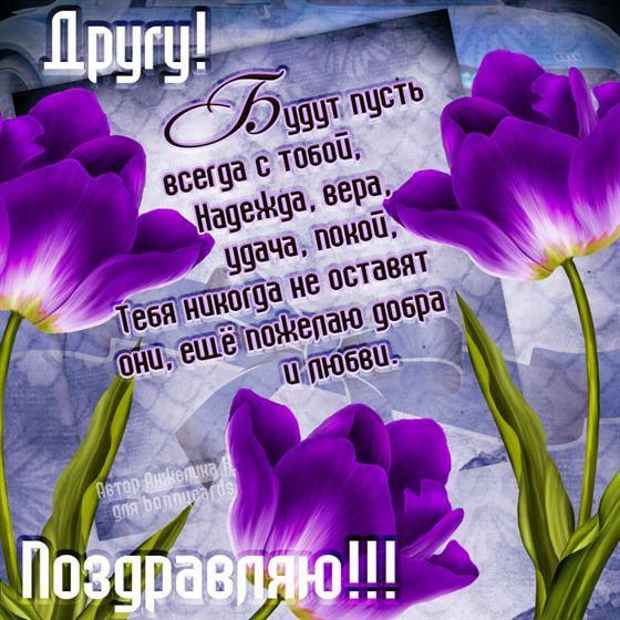 Трогательная картинка на День рождения друга с фиолетовыми тюльпанами