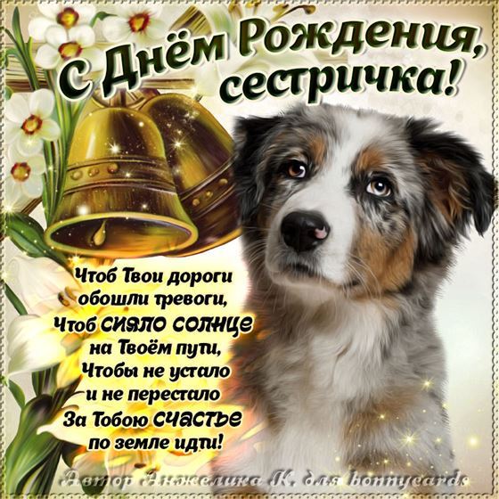 Собачка поздравляет с Днем рождения