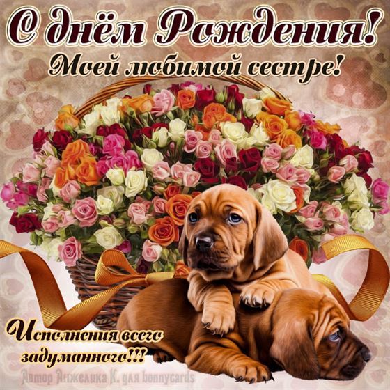 Картинка на День рождения сестре с щенком и большим букетом