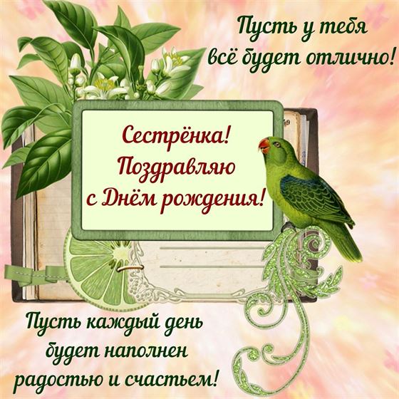 Забавная картинка на День рождения сестре с попугаем