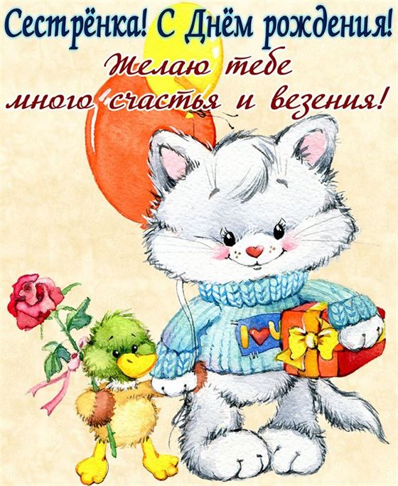 Забавная картина на День рождения сестре с котиком