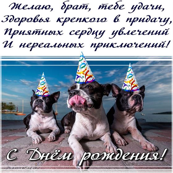 Прикольная открытка на День рождения  брата с собаками
