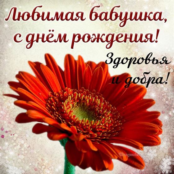 Красивая открытка бабушке на День рождения с цветком