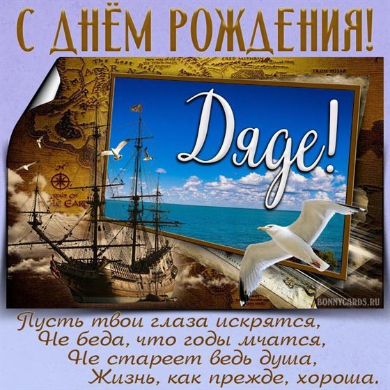 Открытка для дяди с Днем рождения с чайкой