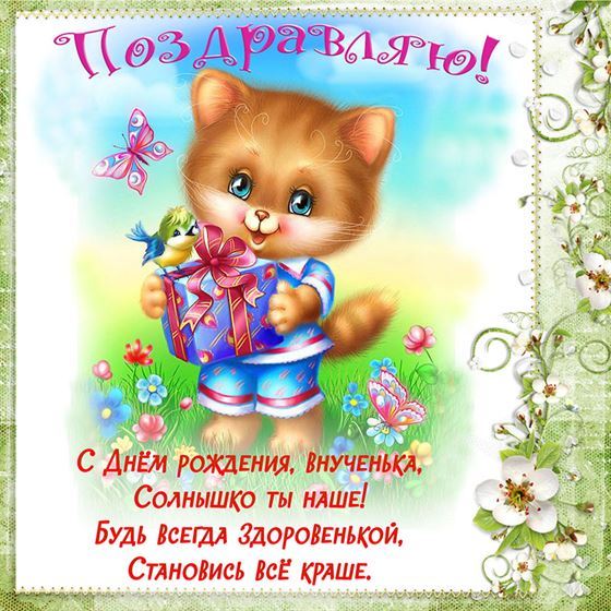 Поздравление в День рождения с котиком