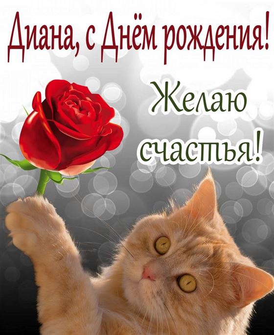 Котик желает счастья на День рождения Диане