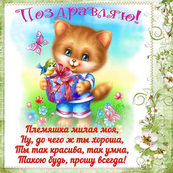 Милая открытка с котом на День рождения племянницы