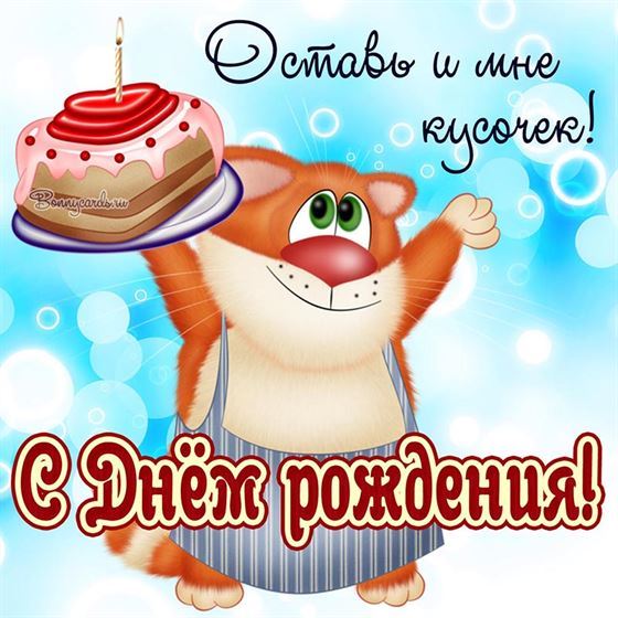 Милый котик с тортом на День рождения