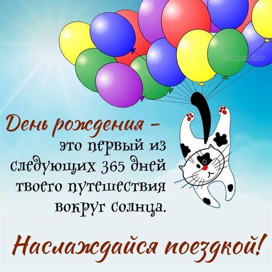 Прикольная картинка на День рождения с котом и воздушными шарами