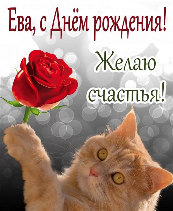 Креативная открытка с котом и розой для Евы