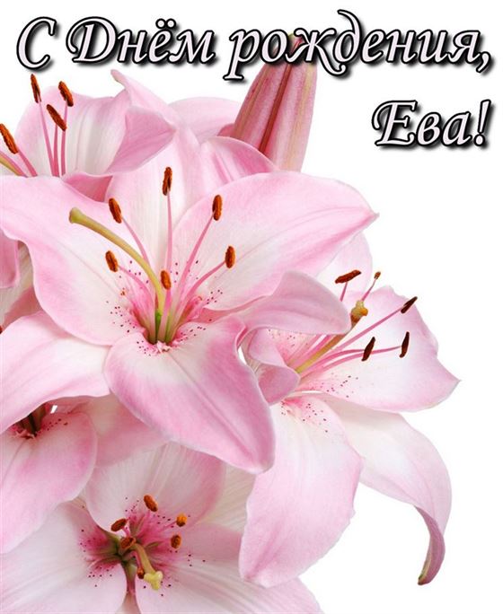 Шикарные лилии на День рождения Евы