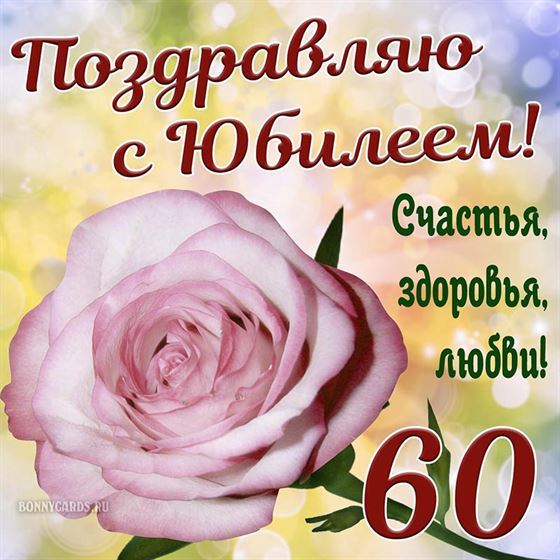 Поздравление с юбилеем с крупной розой