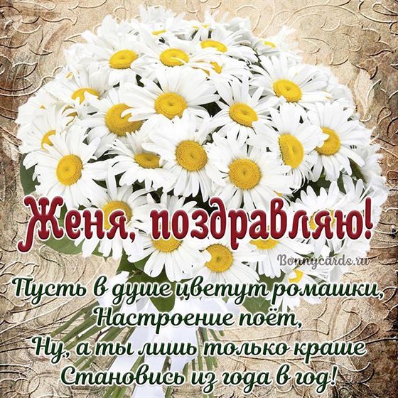 Красивая открытка со стихами и ромашками Жене