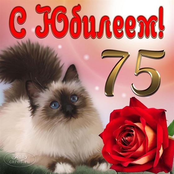 Милый котик на юбилей 75 лет