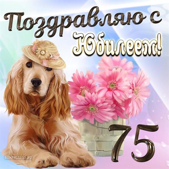 Забавная картинка с псом на юбилей 75 лет