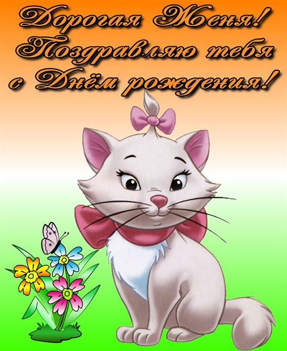 Мультяшная картинка для Евгении на День рождения с котиком