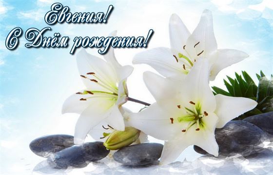 Большие лилии в День рождения Евгении