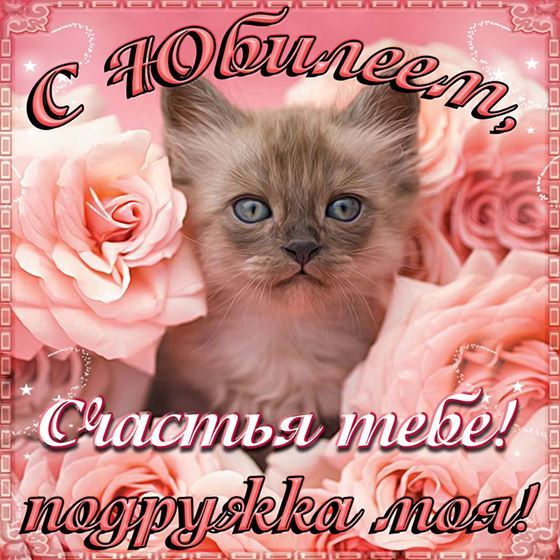 Котенок среди роз на юбилей женщине