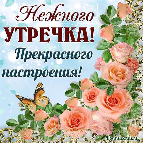 Открытка нежного утра с розами