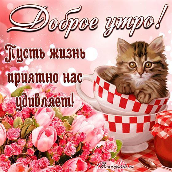 Картинка с котенком в чашке с добрым утром