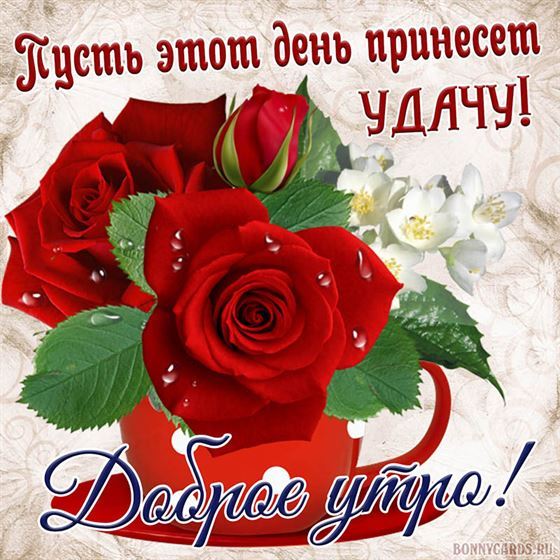 Пожелание на доброе утро с красной розой