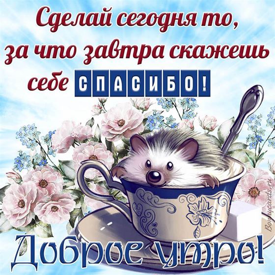 Ёжик желает Вам доброго утра