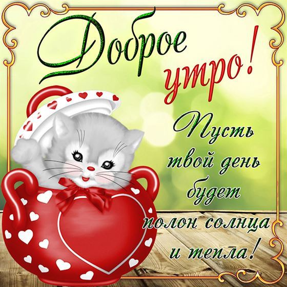 Забавная открытка с котиком на доброе утро