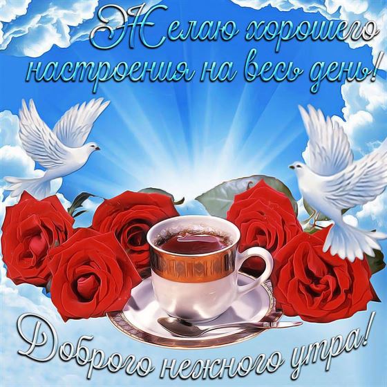 Розы и голуби на доброе утро