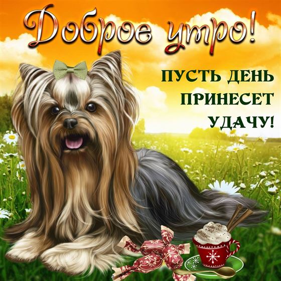 Креативная открытка доброе утро с собачкой
