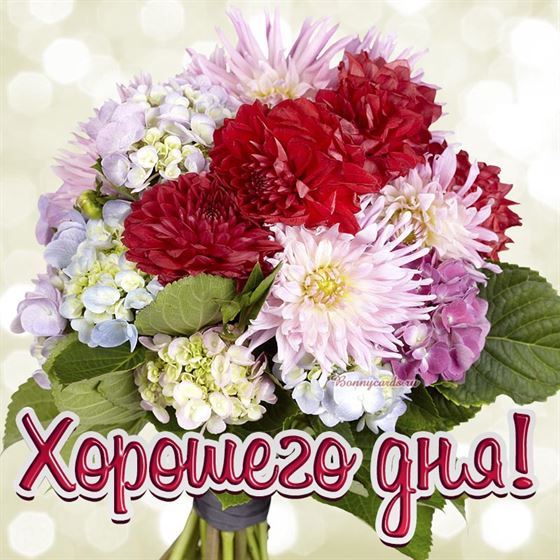 Пожелание хорошего дня с букетом цветом