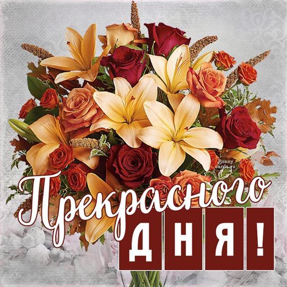 Пожелание прекрасного дня с шикарным букетом