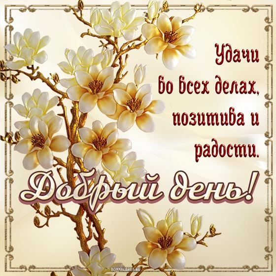 Трогательная открытка с веткой с цветами добрый день