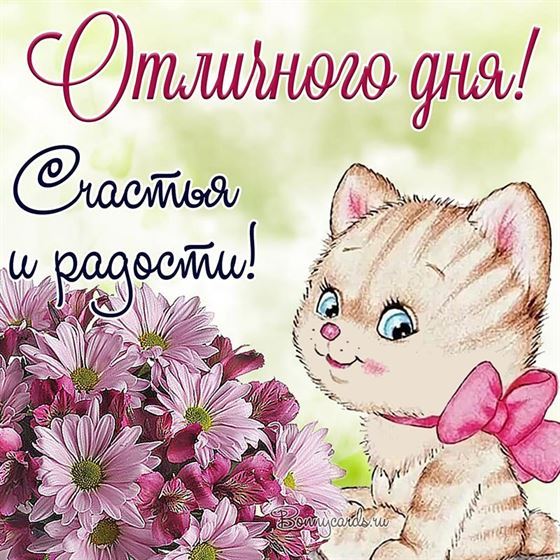 Милый котенок на открытке отличного дня