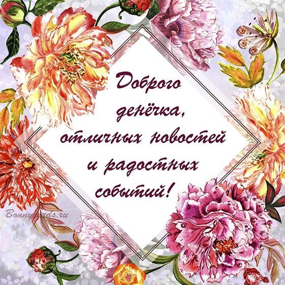 Картинка с красивыми цветами доброго денечка