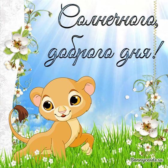 Забавная открытка солнечного, доброго дня