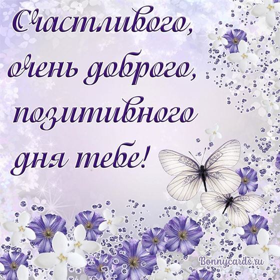 Нежное поздравление доброго дня