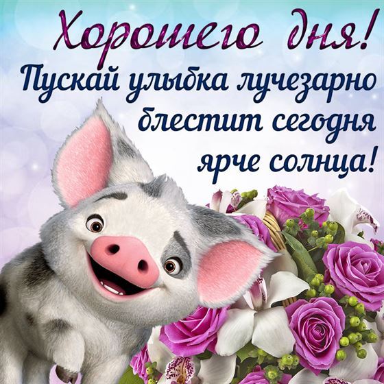 Креативная открытка с поросенком хорошего дня