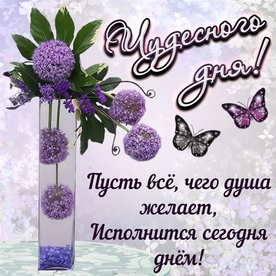 Креативная картинка с цветами чудесного дня