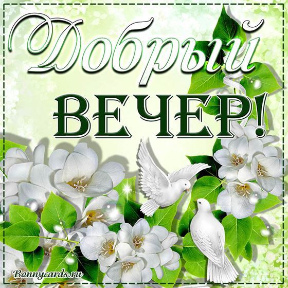 Красивая открытка с белыми цветами добрый вечер