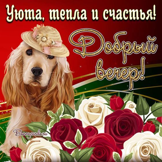 Оригинальная открытка с собачкой добрый вечер